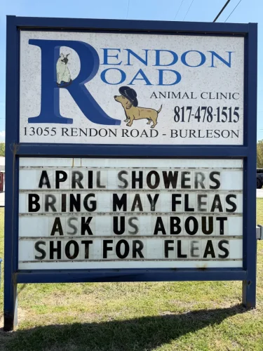 April 2026